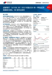 2023年报&2024年一季报点评：规模增长较快，ROE居同业前列