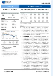 光伏竞争加剧拖累利润，产能投放保收入增长