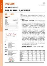 各项业务进展顺利,半年度业绩预增
