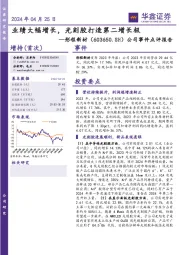 公司事件点评报告:业绩大幅增长,光刻胶打造第二增长极