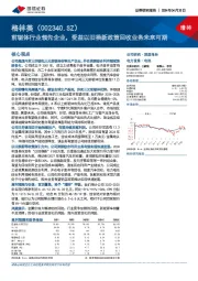 前驱体行业领先企业，受益以旧换新政策回收业务未来可期