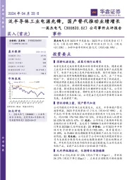 公司事件点评报告:泛半导体工业电源先锋,国产替代推动业绩增长