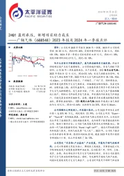 2023年报及2024年一季报点评：24Q1盈利承压，新增项目助力成长