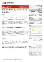 剔除大订单影响后，2024Q1公司收入稳健增长