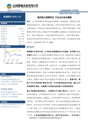 盈利能力短期承压 行业龙头地位稳固