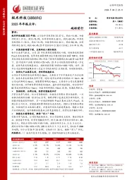 2023年年报点评: