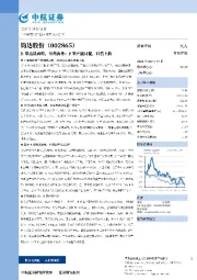 N型出货高增,布局海外;P型产能计提,轻装上阵
