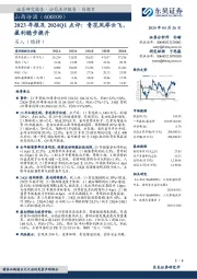 2023年报及2024Q1点评：青花凤举云飞，盈利稳步提升