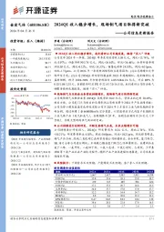 公司信息更新报告:2024Q1收入稳步增长,现场制气项目取得新突破