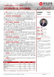 2024年一季报点评:主要产品量价同比下滑,新项目持续推进