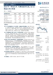 2024年一季报点评:电解液盈利见底,Q1业绩基本符合预期