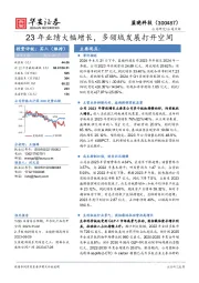 23年业绩大幅增长，多领域发展打开空间