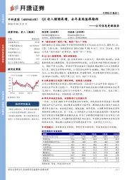 公司信息更新报告：Q1收入继续高增，全年表现值得期待