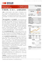 外销亮眼，Q1收入、业绩高速增长