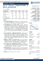 2024年一季报点评：业绩基本符合预期，电解液Q1盈利底部明确