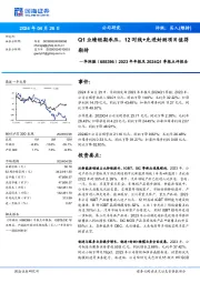 2023年年报及2024Q1季报点评报告：Q1业绩短期承压，12吋线+先进封测项目值得期待