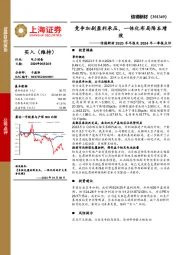 信德新材2023年年报及2024年一季报点评：竞争加剧盈利承压，一体化布局降本增效