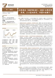 24Q1业绩逆势高增,主业基础夯实,两翼加速腾飞