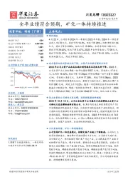 全年业绩符合预期，矿化一体持续推进