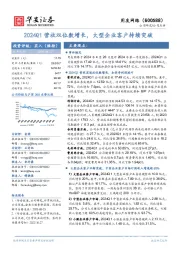 2024Q1营收双位数增长,大型企业客户持续突破