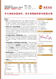 多元领域拓展顺利,项目周期提前影响短期业绩