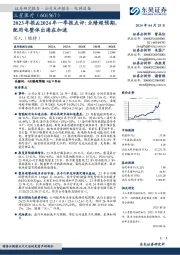 2023年报&2024年一季报点评：业绩超预期，配用电整体出海在加速