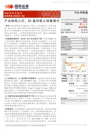 产品结构上行,Q1盈利能力持续提升