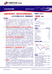 2023年年报及2024年一季报业绩点评：业绩阶段性承压，国内业务有望快速成长