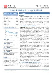 2024Q1净利润高增长,产品矩阵不断拓展