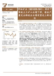 锌价下降致主力矿山业绩下滑,塔金产量完全释放后业绩有望迈上新台阶