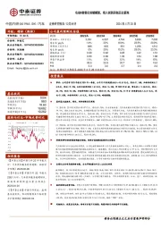 电动&智能化持续赋能,收入利润再创历史新高