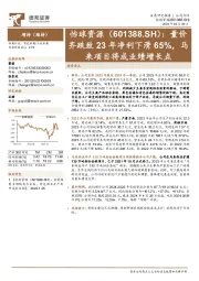 量价齐跌致23年净利下滑65%，马来项目将成业绩增长点