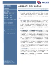业绩短期承压,海外产能布局加速