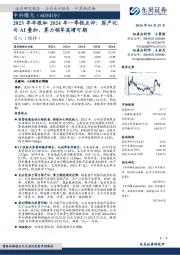 2023年年报和2024年一季报点评：国产化与AI叠加，算力领军高增可期