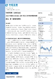 2023年报及2024Q1点评:收入与归母净利润再创新高,第二曲线快速增长