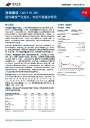 国内橡胶产业龙头，主业升级稳步推进