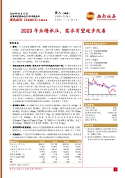 2023年年报点评：2023年业绩承压，需求有望逐步改善