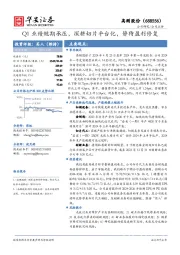 Q1业绩短期承压,深耕切片平台化,静待盈利修复