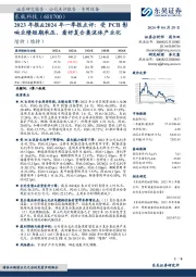 2023年报&2024年一季报点评:受PCB影响业绩短期承压,看好复合集流体产业化