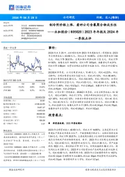 2023年年报及2024年一季报点评:制冷剂价格上涨,看好公司含氟聚合物成长性