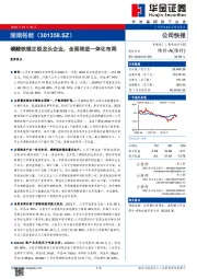 磷酸铁锂正极龙头企业,全面推进一体化布局