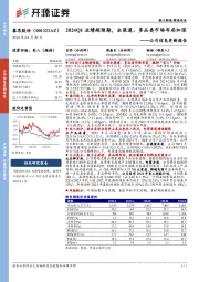 公司信息更新报告：2024Q1业绩超预期，全渠道、多品类市场布局加深