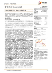 计提减值轻装上阵，国际业务高速发展