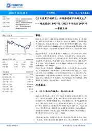 2023年年报及2024年一季报点评:Q1白炭黑产销两旺,持续推进新产品研发生产