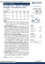 2023年报&2024年一季报点评：冠脉集采续约放量迅速，颅内自膨支架成长空间足