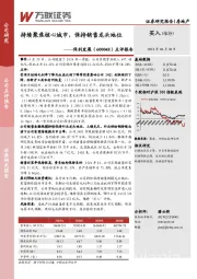 点评报告：持续聚焦核心城市，保持销售龙头地位