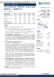 2023年报&2024一季报点评：B端Q1延续亮眼表现，C端静待改善