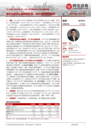 2023年年报&2024年一季报点评:显示业务进入盈利新阶段,光伏业务静待修复
