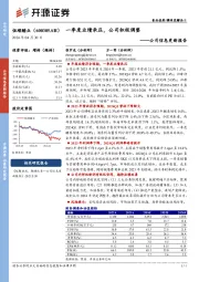 公司信息更新报告：一季度业绩承压，公司积极调整