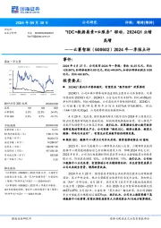 2024年一季报点评：“IDC+数据要素+云服务”驱动，2024Q1业绩